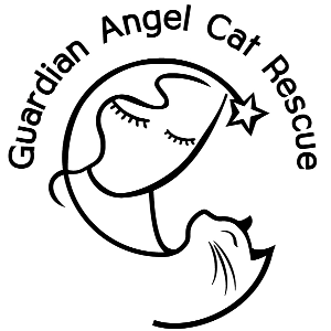 Guardian Angel Cat Rescue, Inc.