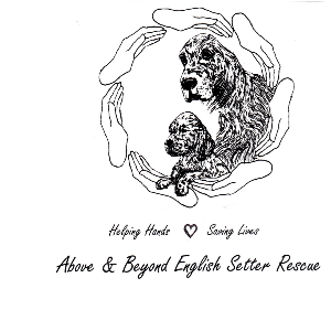 Above and Beyond English Rescue
