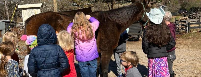savethehorses.org