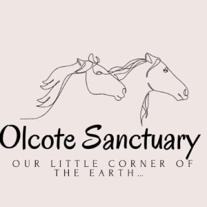 Olcote Sanctuary CIO