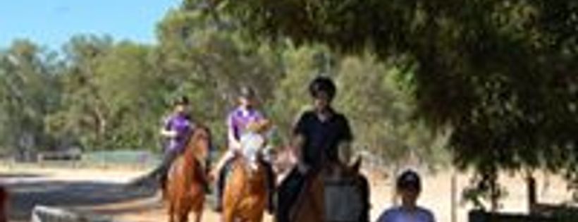 HorsePower Brigadoon