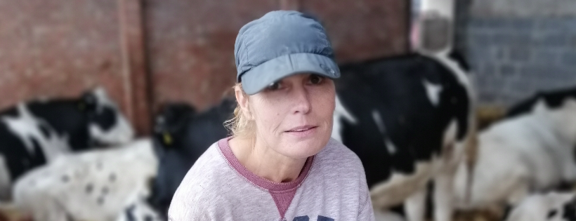 Tower Hill Stables Animal Sanctuary