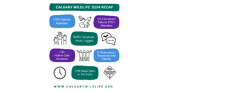 Calgary Wildlife Rehabilitation Society (Calgary Wildlife)