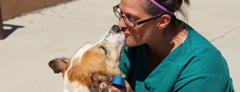 Wood County Humane Society