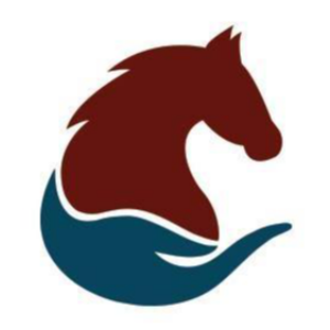 Montana's Wild Horse Sanctuary