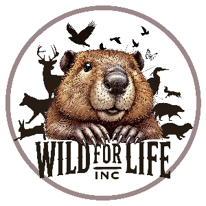 Wild For Life inc.