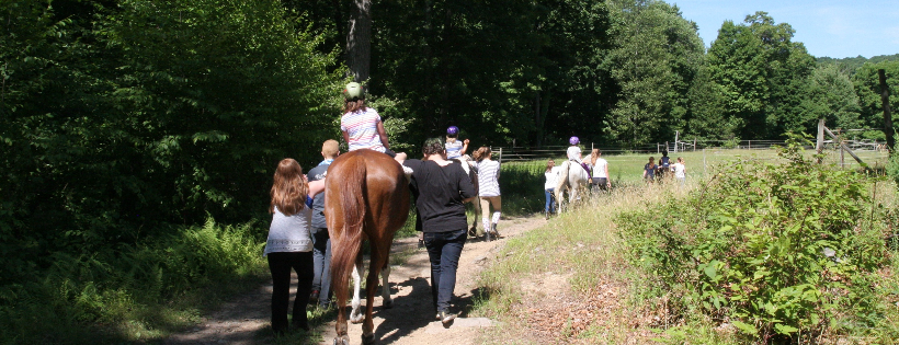 Horses for a Change