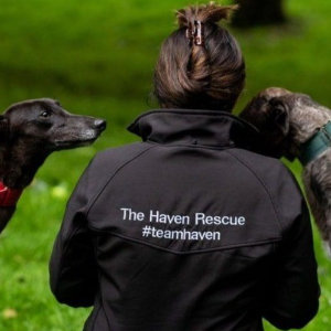 The Haven Rescue Logo