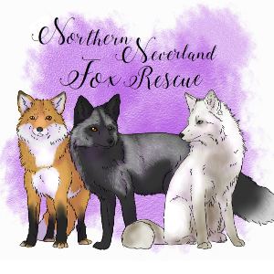 Northern Neverland Fox Rescue Logo
