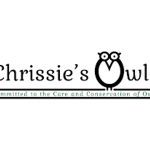 Chrissie's owls & stonesfield owl rescue Logo