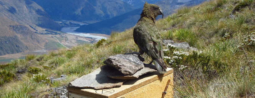 Southern Lakes Sanctuary Trust