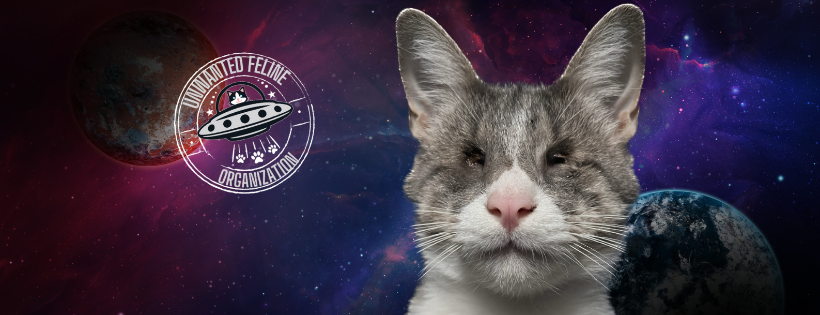 UNWANTED FELINE ORGANIZATION INC