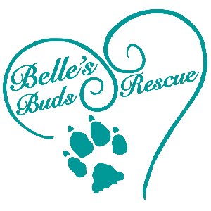 Belle's Buds Rescue
