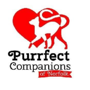 Purrfect Companions of Norfolk