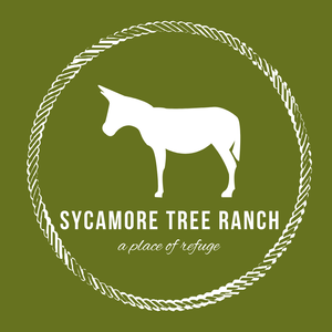 Sycamore Tree Ranch Logo