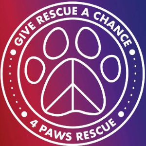 4 paws rescue, inc. Logo