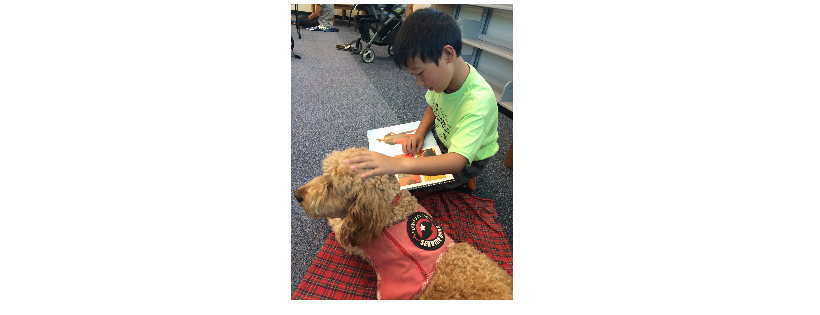HAWAII FI-DO SERVICE DOGS