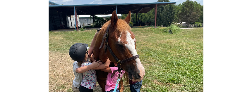 Peppermint Equine Project