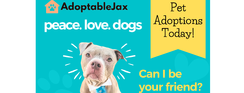 AdoptableJax