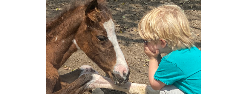 Whispering acres sanctuary