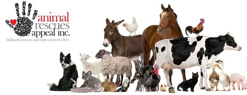 Animal Rescues Appeal Inc