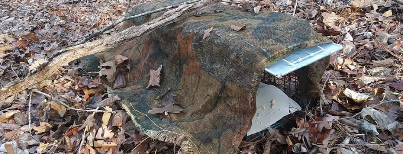 Jrs Trap Neuter Return
