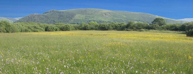 Manx Wildlife Trust