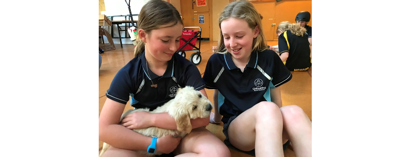 GirlGuiding New Zealand