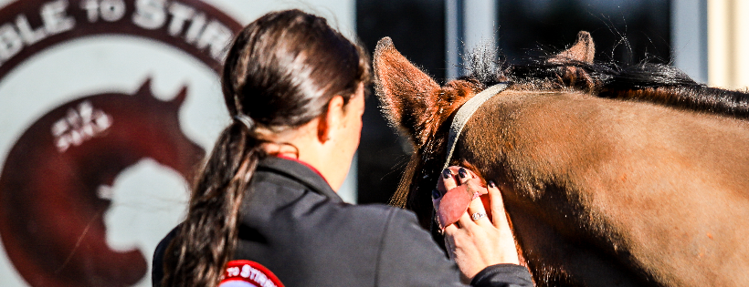 Standardbred Stable to Stirrup Charitable Trust
