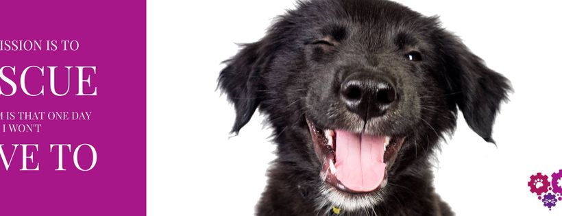 Greater Edmonton Animal Rescue Society