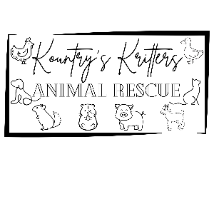 Kountry’s Kritters animal rescue