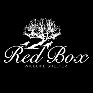 Red Box Wildlife Kangaroo Shelter Logo