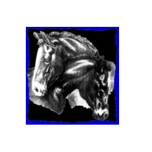 Florida Research Institute for Equine Nurturing Development & Safety, Inc. Logo