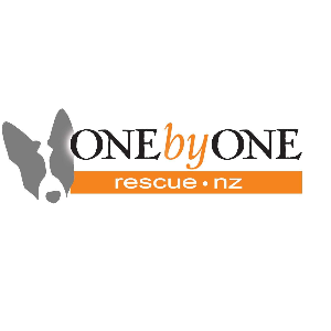 One by one rescue NZ Logo