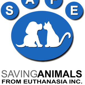 SAFE Metro