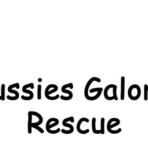 Pussies Galore Rescue