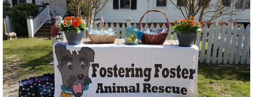 Fostering Foster Animal Rescue