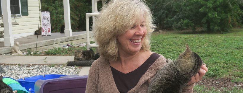 The Cat Ranch