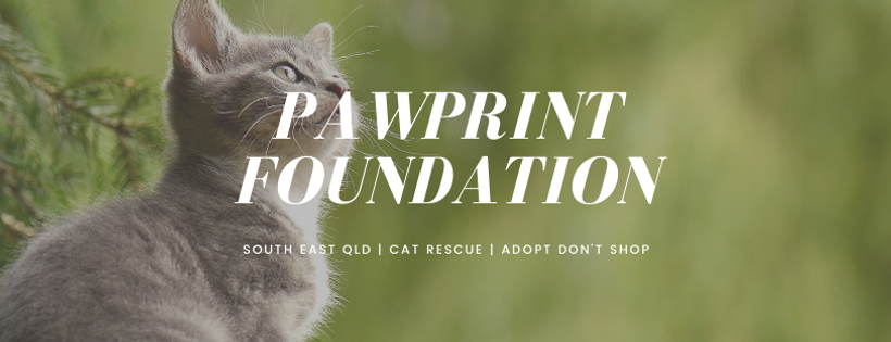 Pawprint Foundation Ltd.