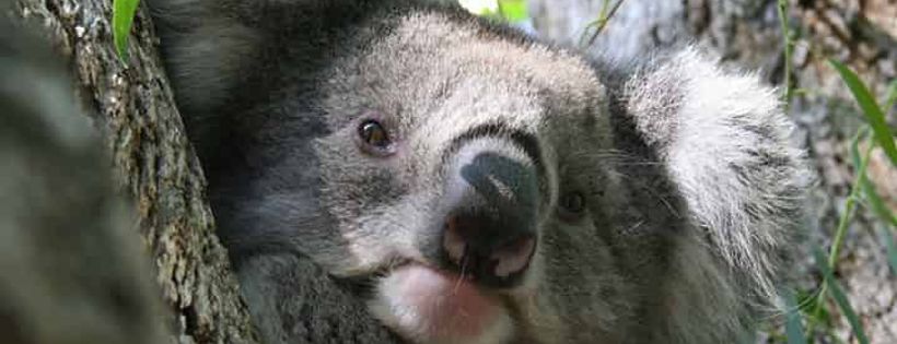 Waterholes Wildlife Sanctuary