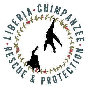 Liberia Chimpanzee Rescue and Protection