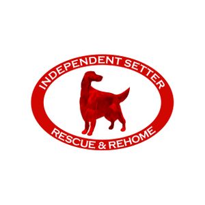Independent Setter Rescue & Rehome