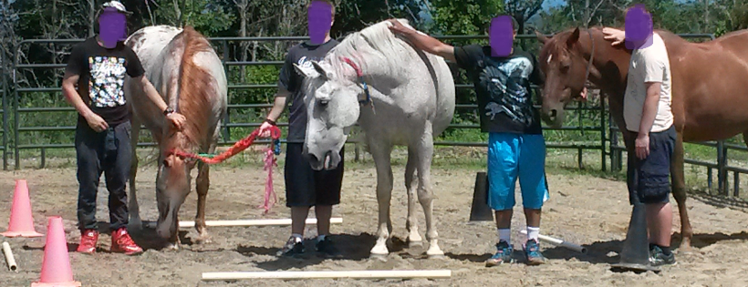 Spring Reins of Life, Inc. 501c3