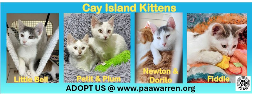 PAAW Pet Adoption Alternative of Warren