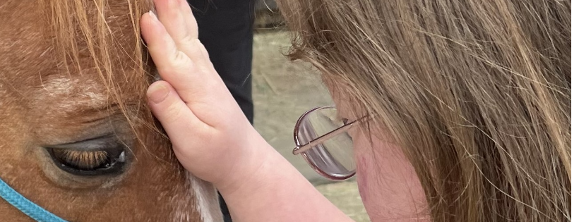Horse Sense Education and Advocacy Nonprofit
