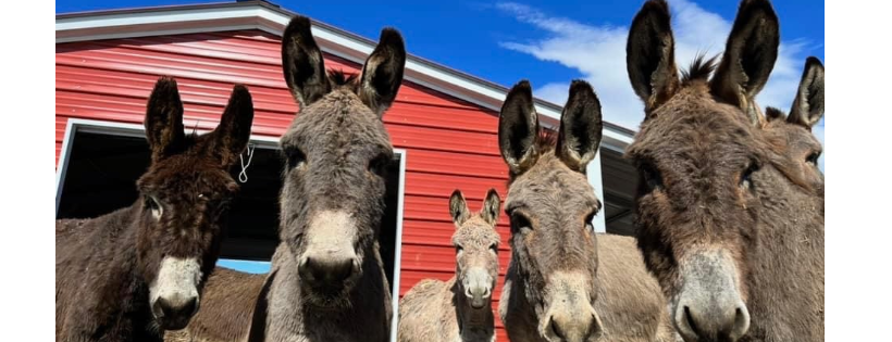 Burro Base Camp Inc