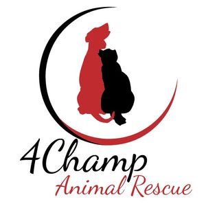 4Champ Animal Rescue Logo