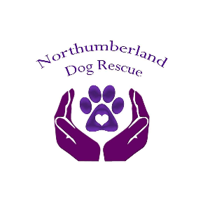 Northumberland dog rescue Logo