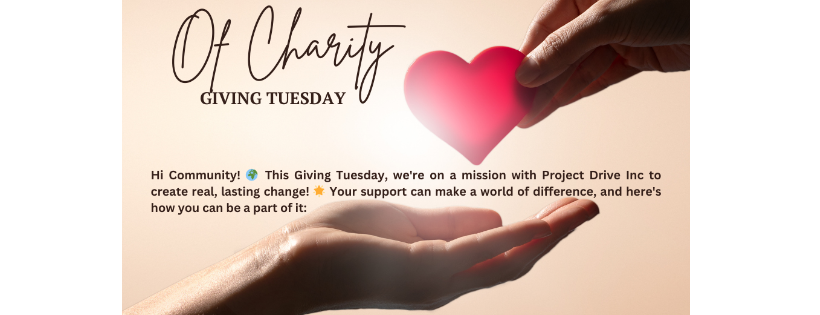 PROJECT DRIVE INC