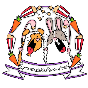 Popcorns & Binkies Rescue Haven Inc. Logo